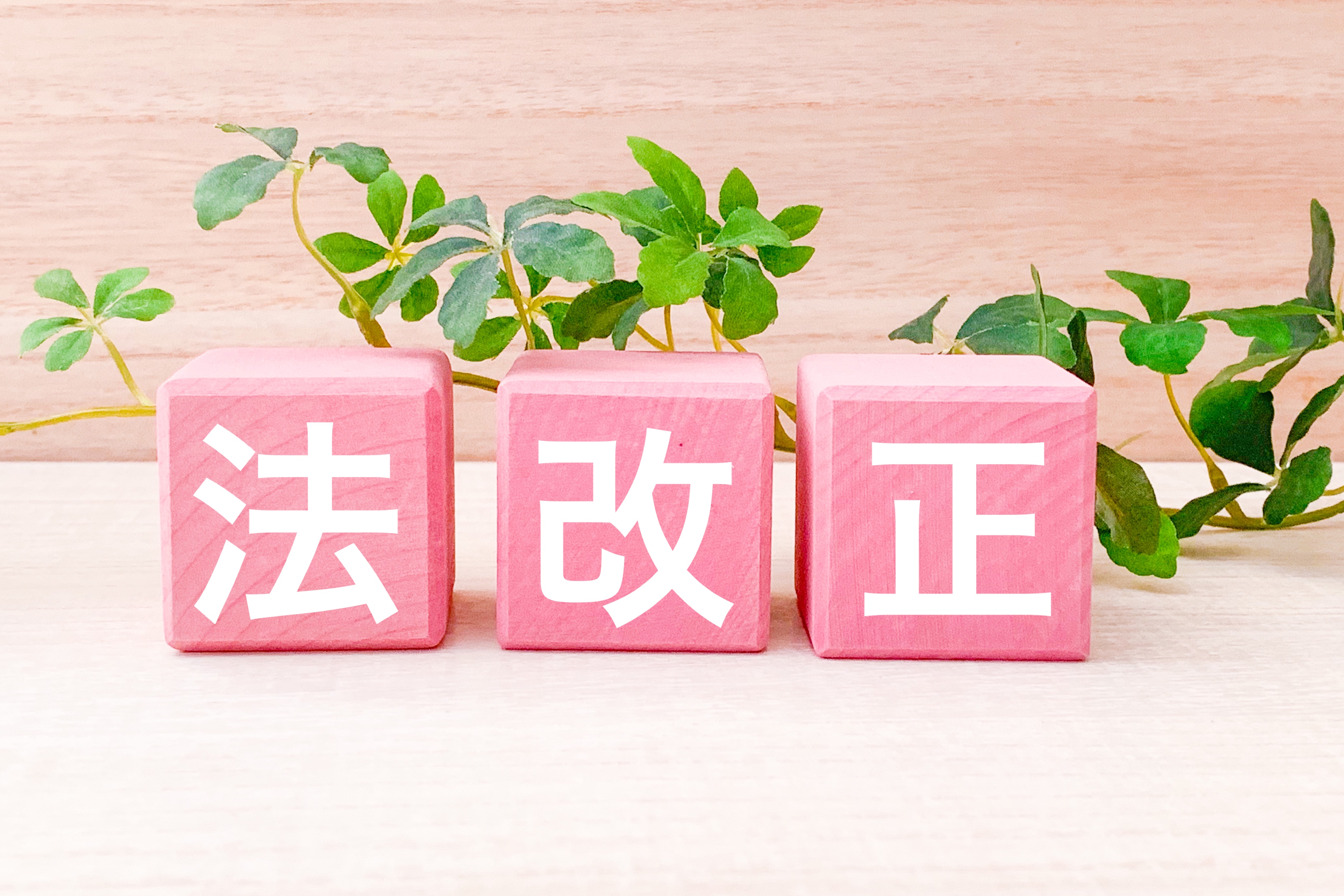 生命保険のルール改正